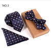 3 PCS Slim Tie Set Men Bow Tie and Handkerchief Bowtie Necktie