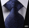 Paisley Check Dot 3.4