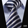 Paisley Check Dot 3.4