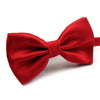 Novelty Wedding Party Polyester Bowtie Men Bow Tie