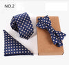 3 PCS Slim Tie Set Men Bow Tie and Handkerchief Bowtie Necktie
