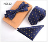 3 PCS Slim Tie Set Men Bow Tie and Handkerchief Bowtie Necktie