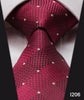 Paisley Check Dot 3.4
